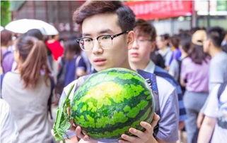 学校吃瓜都在哪发,校园“吃瓜”盛地大揭秘  第3张